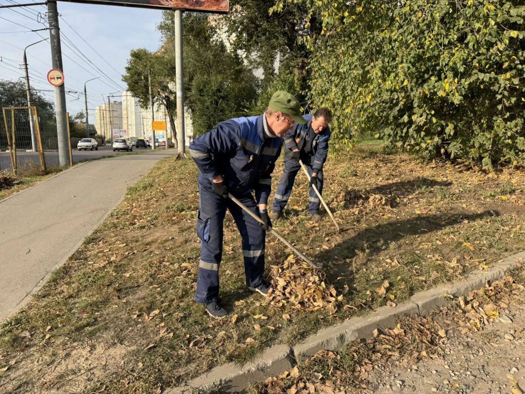 Осенний месячник по благоустройству в Энгельсе продолжается Осенний месячник по благоустройству в Энгельсе продолжается