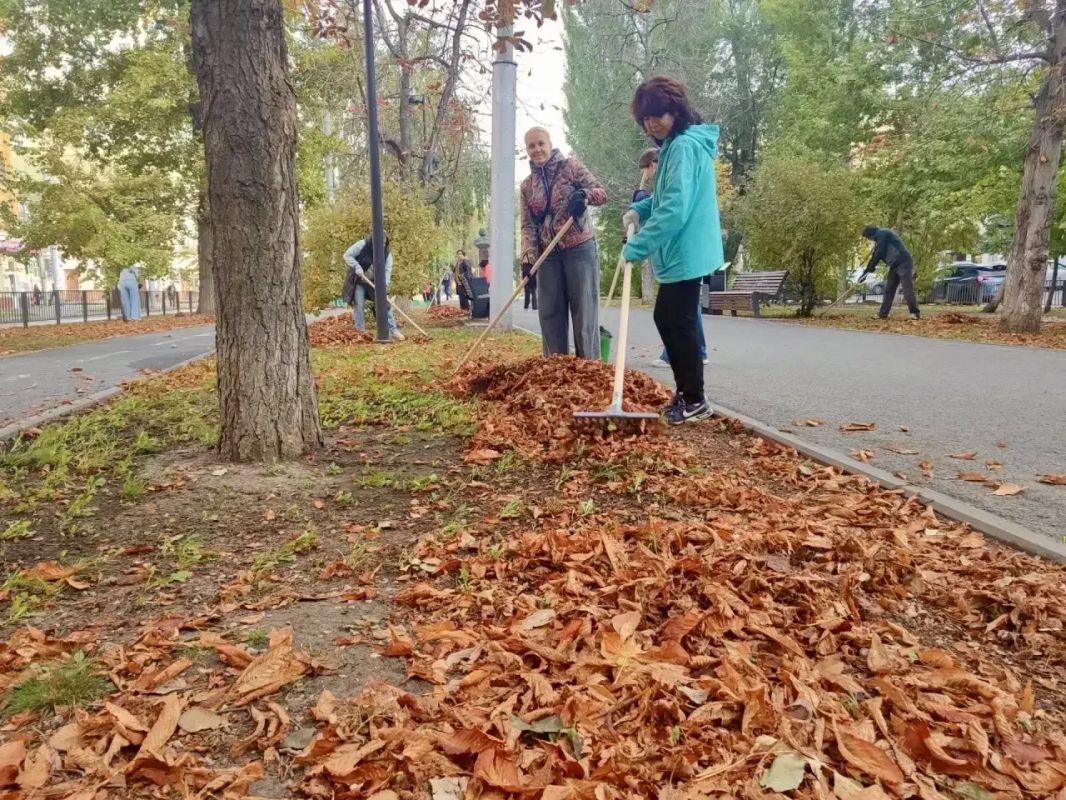 Активное субботнее утро. В городе стартовал субботник Активное субботнее утро. В городе стартовал субботник