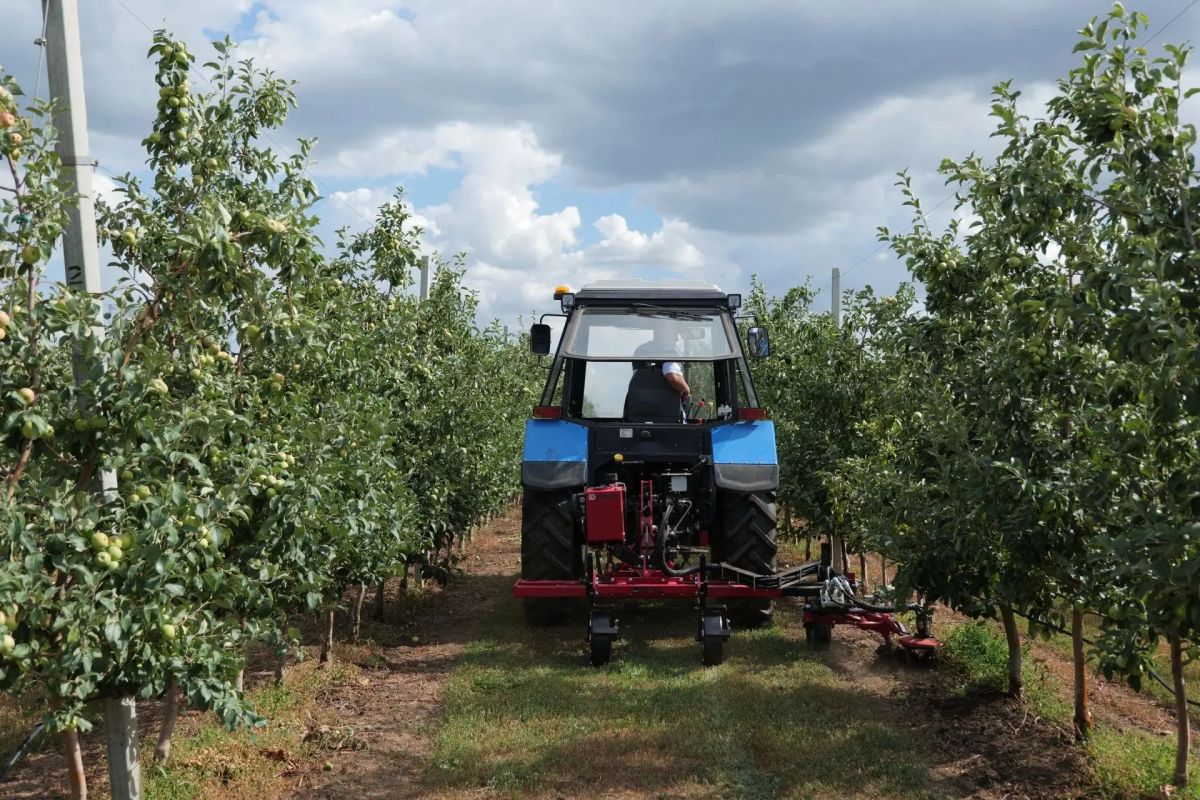 Роман Бусаргин: Поздравляю с профессиональным праздником всех работников и ветеранов агропромышленного комплекса Роман Бусаргин: Поздравляю с профессиональным праздником всех работников и ветеранов агропромышленного комплекса