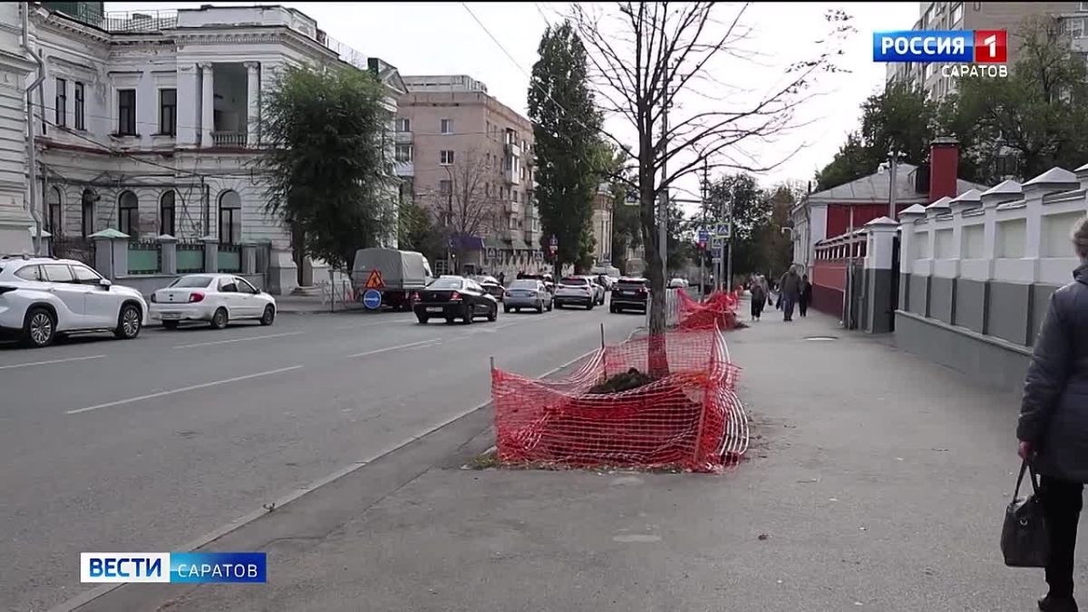 Стартовал осенний этап озеленения Саратова