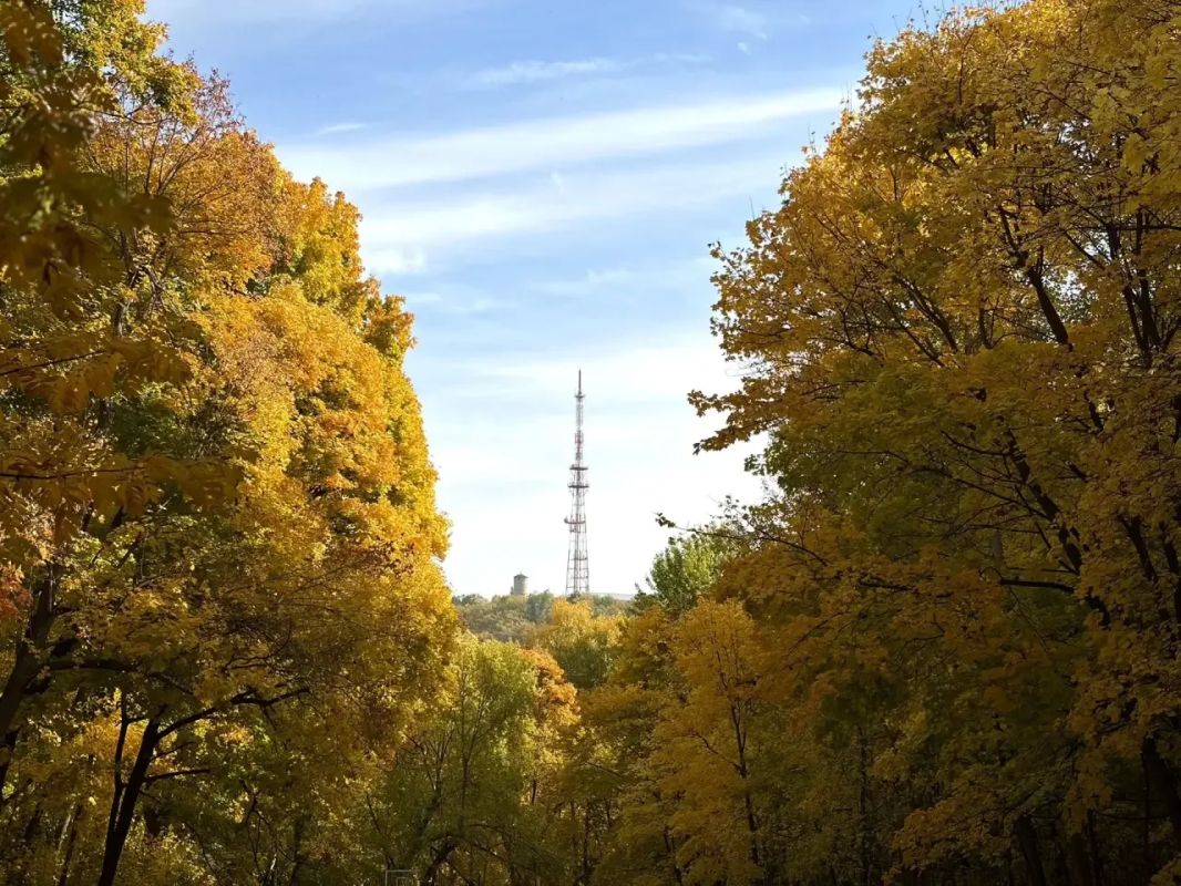 Осень в городе Осень в городе