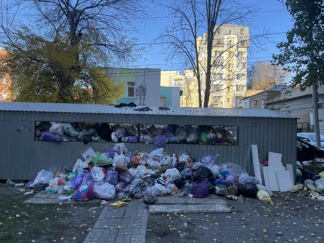 Саратовцы жалуются на заваленные мусором контейнерные площадки