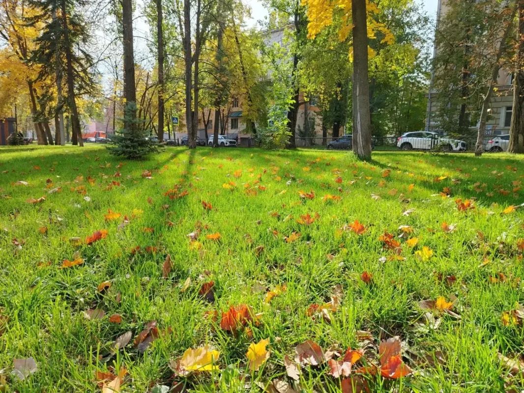 Осень в городе Осень в городе