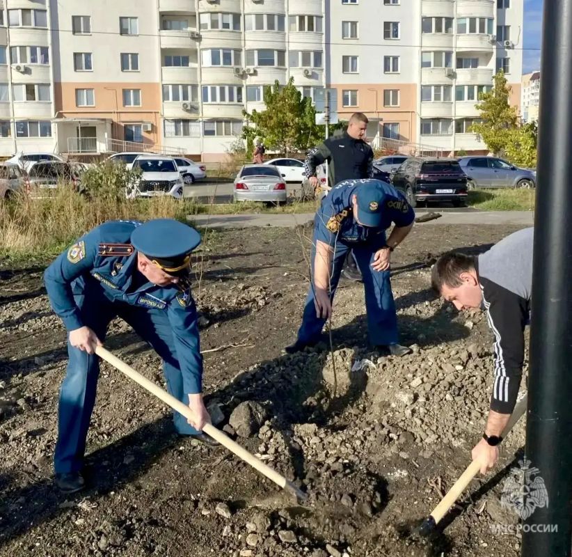 Сотрудники МЧС России присоединились к акции по высадке деревьев Сотрудники МЧС России присоединились к акции по высадке деревьев