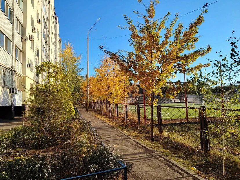 Бабье лето в Саратовской области завершается