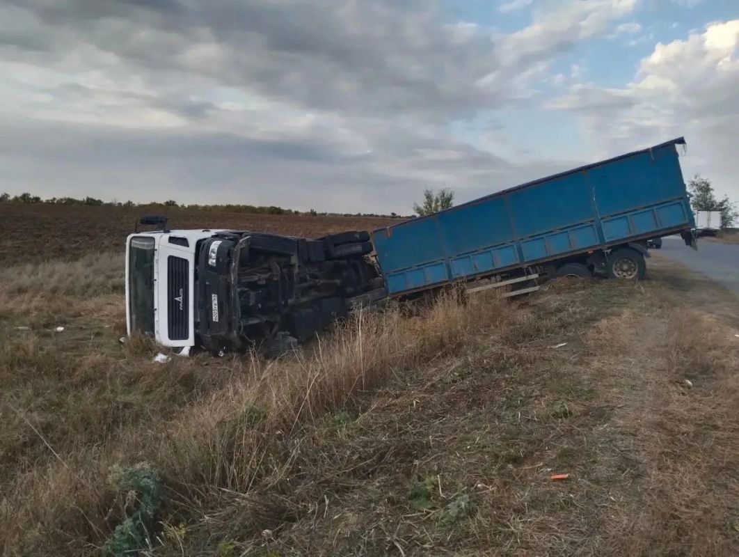 В Ершовском районе из перевернутой фуры сбежали рогатые
