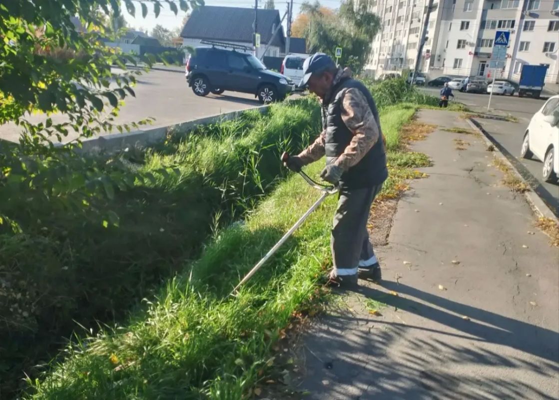 Приводим зеленые зоны города в порядок, косим газоны, камыш и сорную растительность Покос травы проводим триммерами и с применением специализированной техники с навесным оборудованием «Коса» Приводим зеленые зоны города в порядок, косим газоны, камыш и сорную растительность Покос травы проводим триммерами и с применением специализированной техники с навесным оборудованием «Коса»