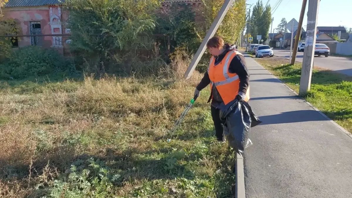 Приводим зеленые зоны города в порядок, косим газоны, камыш и сорную растительность Покос травы проводим триммерами и с применением специализированной техники с навесным оборудованием «Коса» Приводим зеленые зоны города в порядок, косим газоны, камыш и сорную растительность Покос травы проводим триммерами и с применением специализированной техники с навесным оборудованием «Коса»