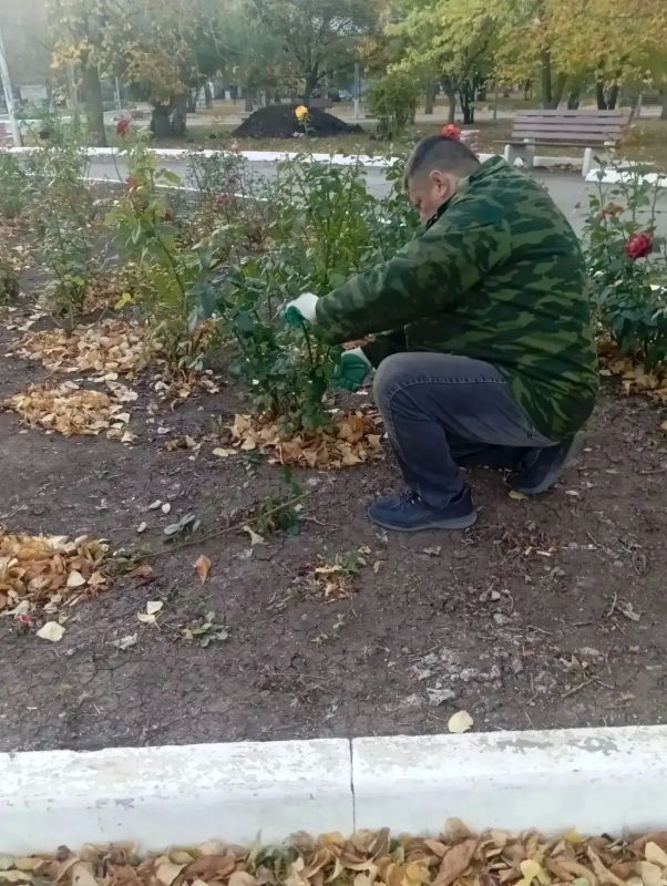 Коммунальные службы с самого утра приводят в порядок улицы города Коммунальные службы с самого утра приводят в порядок улицы города