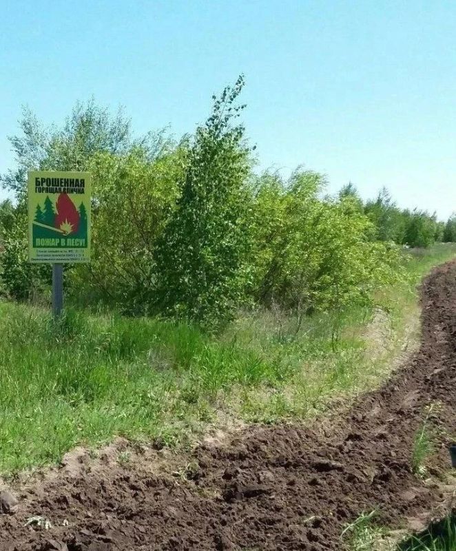 В лесах Саратовской области вводится ограничение пребывания граждан В лесах Саратовской области вводится ограничение пребывания граждан