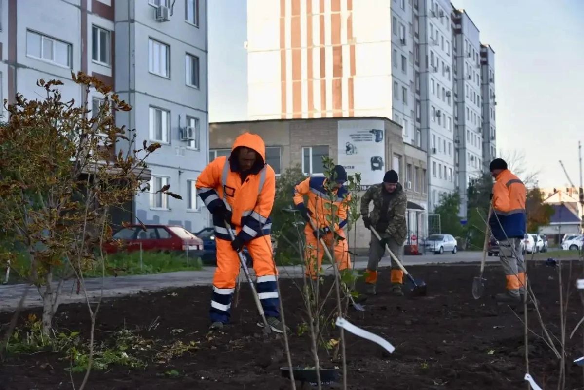 На новом участке Сиреневого сквера началась высадка кустов сирени На новом участке Сиреневого сквера началась высадка кустов сирени