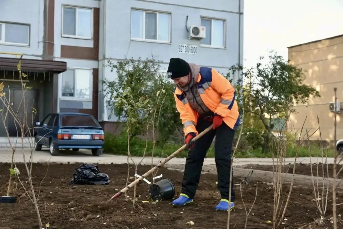 На новом участке Сиреневого сквера началась высадка кустов сирени На новом участке Сиреневого сквера началась высадка кустов сирени