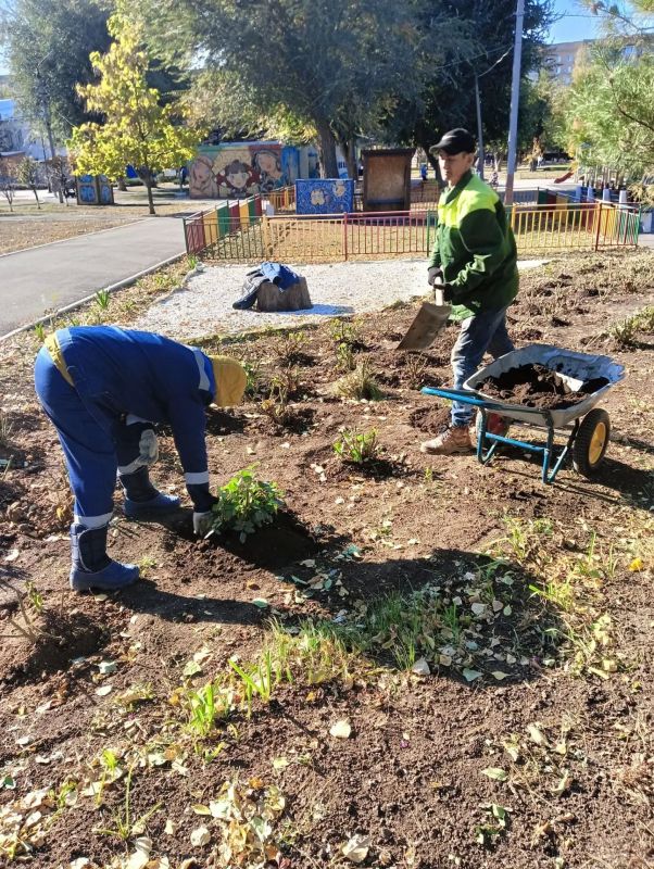 Коммунальные службы ведут работы по благоустройству города Коммунальные службы ведут работы по благоустройству города