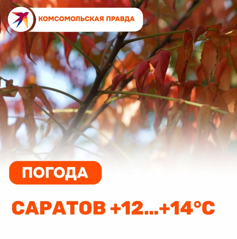 Пятница, 23 октября. В Саратове и области ожидается комфортная погода без существенных осадков