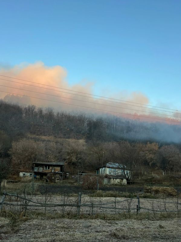 Возле села Лох уже несколько дней тушат памятник природы