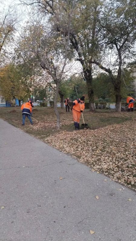 В городе Балаково продолжаются плановые работы по благоустройству В городе Балаково продолжаются плановые работы по благоустройству