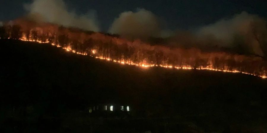 Лесной пожар в окрестностях села Лох локализовали и ликвидируют