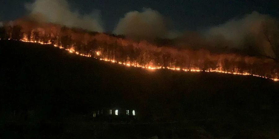 Возле села Лох уже несколько дней тушат памятник природы Возле села Лох уже несколько дней тушат памятник природы