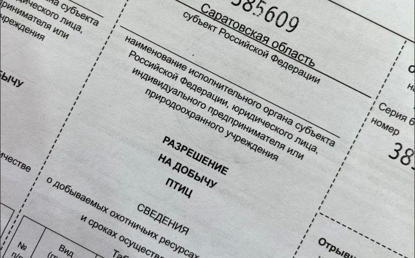 За 9 месяцев охотники получили с помощью портала «Госуслуг» более 9,5 тысяч разрешений на добычу животных