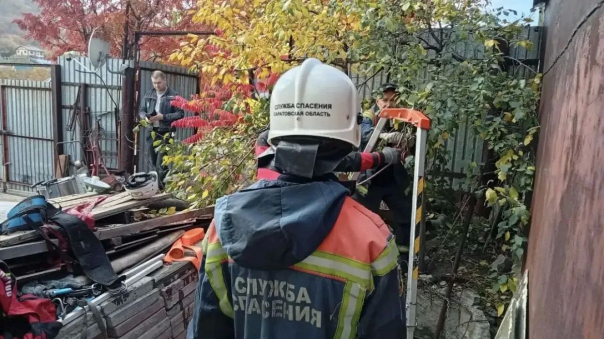 152 жителя региона обратились в службу спасения Саратовской области за последнюю неделю 152 жителя региона обратились в службу спасения Саратовской области за последнюю неделю