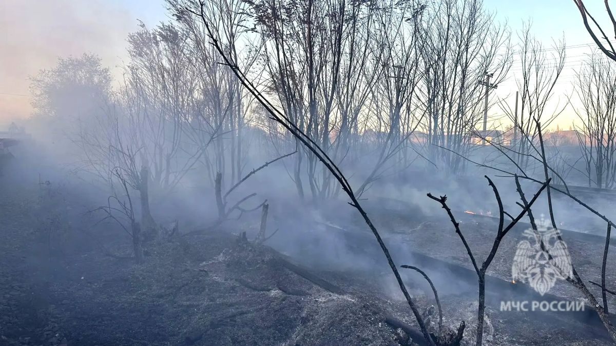 Пожарные МЧС России не допустили перехода огня на жилые дома в Краснокутском районе