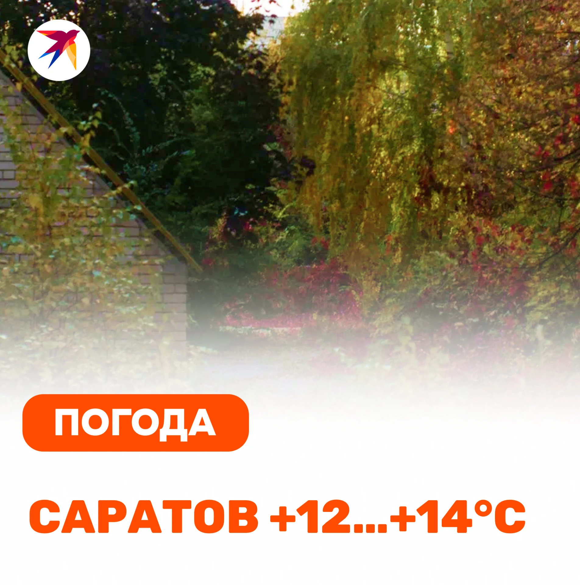 Четверг, 29 октября. В Саратове и области сохранится сухая, малооблачная и исключительно комфортная погода