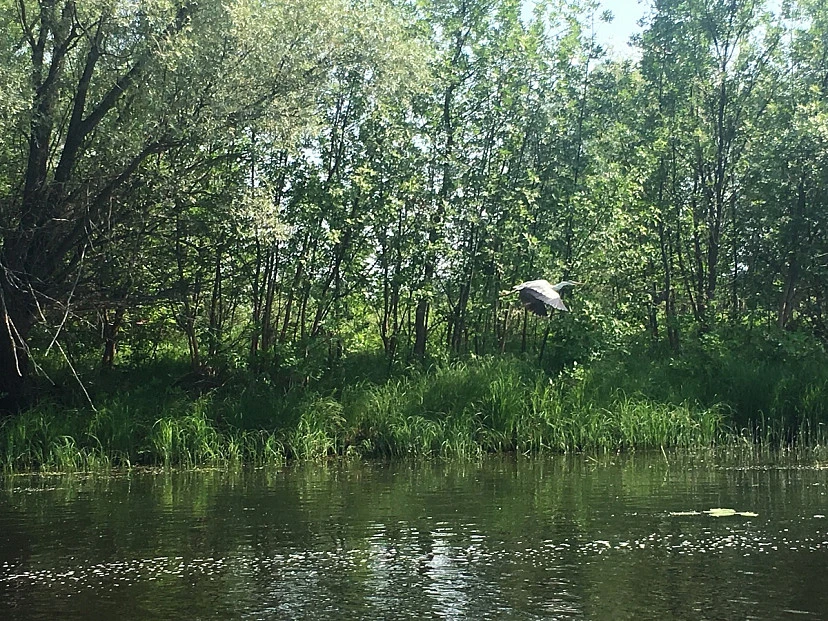 В Саратовской области завершается осенняя закачка воды
